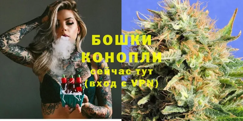 как найти наркотики  Грозный  Шишки марихуана White Widow 